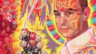 Alex Grey Visionary Art Psychedelics
