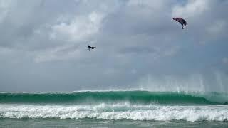 Airton Cozzolino destroying Tarifa