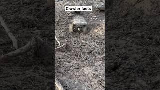 1/10 crawler facts