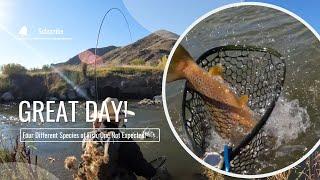 Fly Fish Utah | Fishing a New River and it was Awesome!