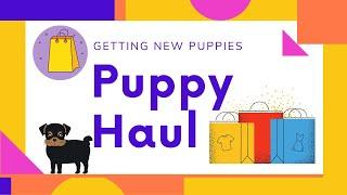 Puppy Haul | New Yorkie Puppies