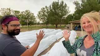 “Adding Row Cover for Frost Protection this Winter” What Kind, How We Cut & Use It” Small Farm Vlog