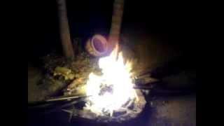 Puggle jumps in the Fire . Crazy Dog !!!!