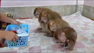 4 Siblings Sit Very Obediently Waiting Mom To Diapering For Them ,