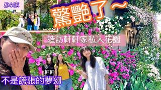 《5/11私人花園初公開特別版》遠方朋友來訪Erin的小玫瑰園｜一同造訪玫瑰達人軒軒家的夢幻玫瑰花園-2024