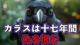 【怪事件の真相】カラスは十七年間仇を恨む【恐怖】