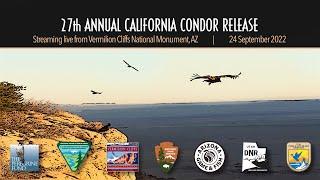 27th California Condor Release hosted by The Peregrine Fund and Bureau of Land Management