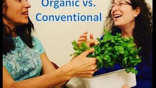 Organic vs. Conventional (Hybrid vs. GMO) - A Conversation with Raw Vegan Fruitarians