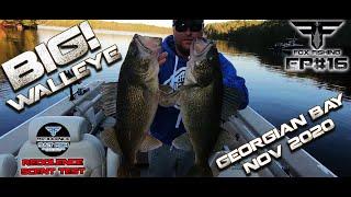 GIANT WALLEYE of Georgian Bay! Testing Redolence BAIT FISH Scent. Fox Fishing 4K ULTRA HD Ep#16