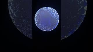 Синтез науки и искусства / Сходи Посмотри современное искусство