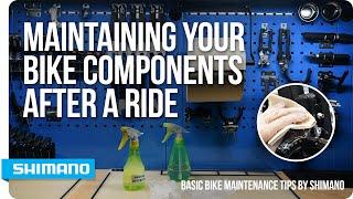 Maintaining Your Bike Components After A Ride | SHIMANO