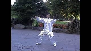 Wu Style Tai Chi Northern 83 forms (2007)