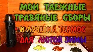 ЛЕЧЕБНЫЕ ТРАВЫ ДЛЯ ЧАЯ. МОЙ ТРАВЯНОЙ СБОР.  Чай в тайге травяной завар. Бушкрафт.