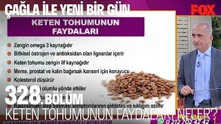 Keten tohumunun faydaları neler? Çağla ile Yeni Bir Gün 328. Bölüm