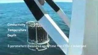Tangaroa CAML expedition - First week
