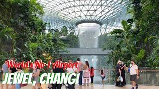 JEWEL CHANGI AIRPORT | A Walking Tour of Singapore's Most Iconic Airport