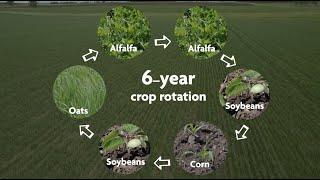 Managing Weeds in Organic Corn and Soybeans