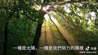 非凡超電商我們是太陽