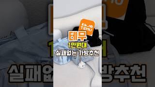 테무 절대 실패없는 1만원대 가방추천