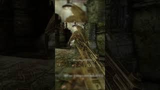 Herika (AI Skyrim Companion)  runs into a trap #skyrim #ai