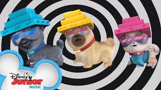 A.R.F.'s New Voice Box  | Music Video | Puppy Dog Pals | Disney Junior