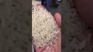 Rice milling machine #shortviral #diy #ricemillingmachine #machine #ricemilling