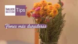 Tips Hogar | Flores más duraderas con este tip | @iMujerHogar