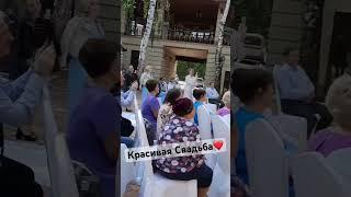 Свадьба в Уфе ведущий Никита Вольф️ #свадьба #клятва #любовь  #выезднаярегистрация