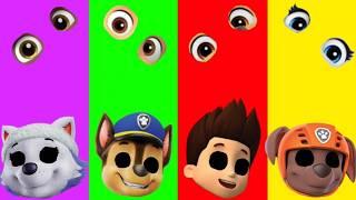 Wrong eyes challenge DAME TU COSITA Paw Patrol Funny Puzzle Wrong Heads