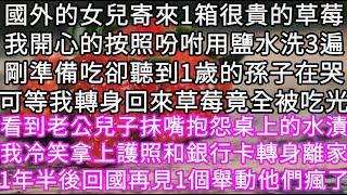 國外的女兒寄來1箱很貴的草莓我開心的按照吩咐用鹽水洗3遍剛準備吃卻聽到1歲的孫子在哭可等我轉身回來草莓竟全被吃光 #心書時光 #為人處事 #生活經驗 #情感故事 #唯美频道 #爽文