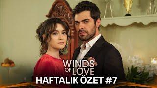 Winds of Love Weekly Summary #7 | Rüzgarlı Tepe Haftalık Kolaj #7