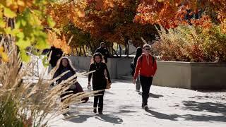 Fall Colours on the UBCO Campus