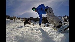 Snowboarding With Dogs: Earning Spring Turns at Kirkwood