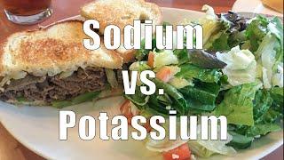 Sodium vs. Potassium (700 Calorie Meals) DiTuro Productions