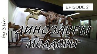 Молдавские будни #21 | Этнографический музей. Кишинев.