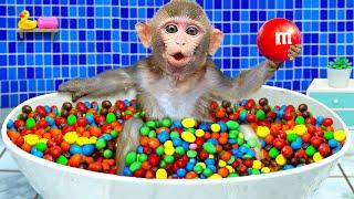 KiKi Monkey bath in the Rainbow BathTub full of M&M candy and play with ducklings | KUDO ANIMAL KIKI