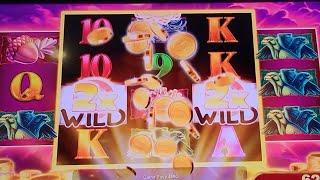 Max Bet $10 Bonus on Celestial Sun Riches Slot Machine leads to a nice Profitable Day 