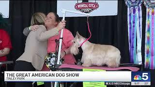 Great American Dog Show held in Tinley Park