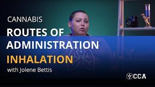 Routes of Administration for Cannabis: Inhalation