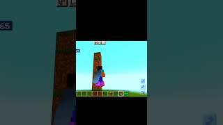 minecraft tik tok hack elytra hack #minecraft #shorts #youtubeshort #ytshorts #hack #shorts #