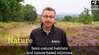 Climate Action: Helpful Heathlands