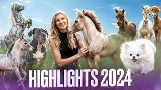 ️ BEST of 2024 ️ Alle HIGHLIGHTS!!