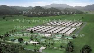 Norvida spårbarhet
