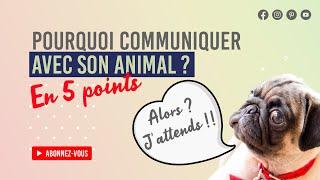 Pourquoi communiquer avec son Animal ? en 5 Points 