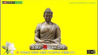 【소원성취기도/Korean Buddhism Temple】듣기만 해도 가족 자식들 소원을 들어주는 불경 (BoGwangTemple) 一切唯心造