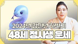 2024 하반기 ‘48세 정사생’ 뱀띠 운세