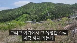 진산면 묵산리 저렴한 가격으로 전원 주택지 분할매매