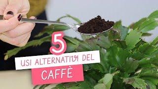 5 usi alternativi del CAFFÈ - 5 COFFEE life hacks