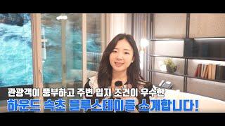 유튜버 모델하우스 다나와_하운드 속초 블루스테이 유니트