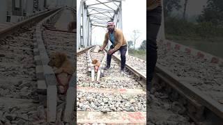 #fasttrains #dog #bebyछोटा पिल्ला ट्रैन की पटरी में फस गया हेल्प करो #motivation #emotional#vira